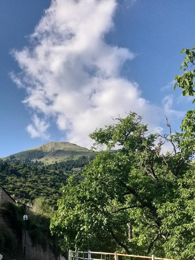Το Σπίτι Της Ευτυχίας Σουίτα Appartement Karpenisi Buitenkant foto