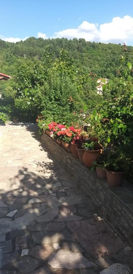 Το Σπίτι Της Ευτυχίας Σουίτα Appartement Karpenisi Buitenkant foto