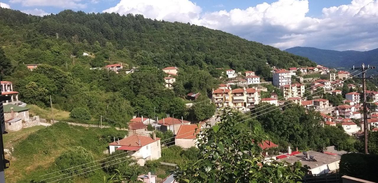 Το Σπίτι Της Ευτυχίας Σουίτα Appartement Karpenisi Buitenkant foto